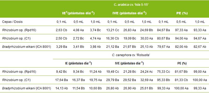 Índices de emergencia en los cv. ‘Isla 5-15’ y cv. ‘Robusta’, inoculados con tres cepas y dosis de rizobios en condiciones de pre-germinador. Letras minúsculas en la coluna y mayúsculas en la línea representan diferencias estadísticas para la prueba de Tukey al 5% de probabilidad.