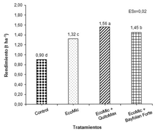 Efecto combinado de productos bioactivos en el rendimiento de plantas de frijol común cultivar ‘Buenaventura’. Medias con letras desiguales, difieren significativamente, según Duncan para p<0,05